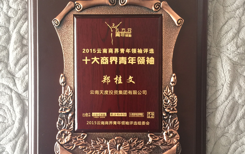 在&ldquo;互聯(lián)網(wǎng)大時(shí)代&rdquo;的背景下，天度作為本土很大和很有名的互聯(lián)網(wǎng)服務(wù)企業(yè)，為近萬(wàn)家傳統(tǒng)企業(yè)轉(zhuǎn)型互聯(lián)網(wǎng)+提供了服務(wù)和幫助，獲此獎(jiǎng)項(xiàng)后，我們將再接再厲，創(chuàng)造更高的社會(huì)價(jià)值